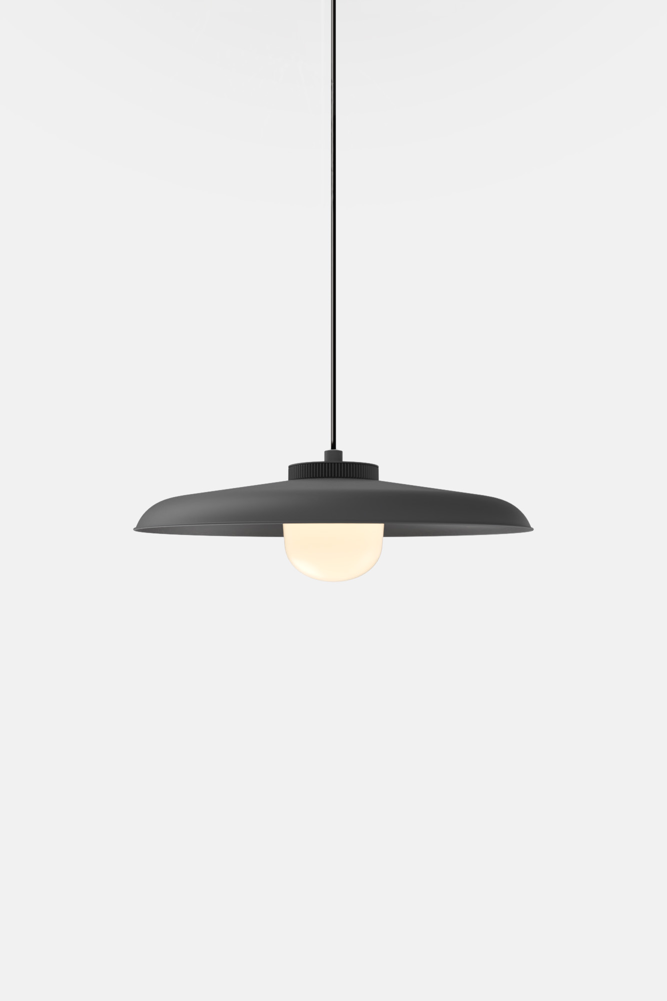 Hoist Pendant | RBW