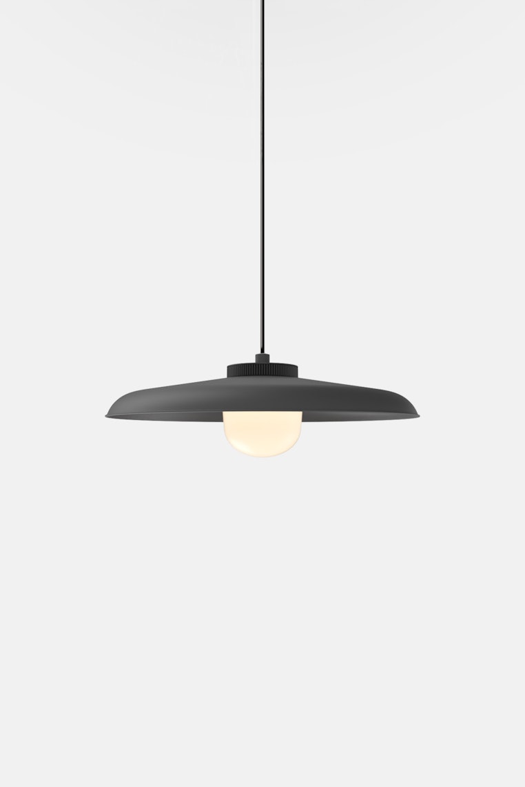 Hoist Pendant