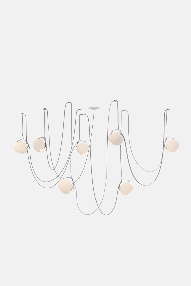 Vitis 7